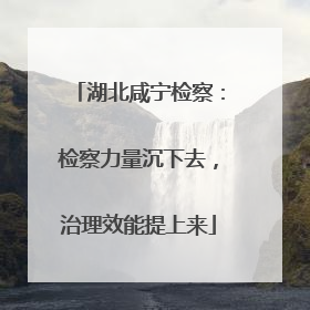 湖北咸宁检察：检察力量沉下去，治理效能提上来