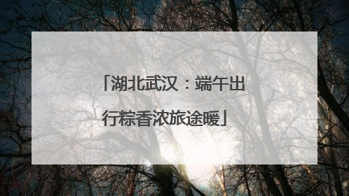 湖北武汉：端午出行粽香浓旅途暖