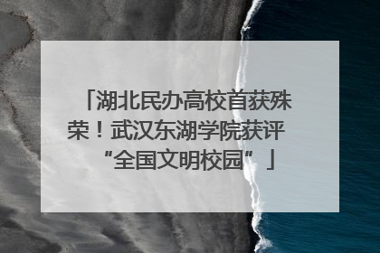 湖北民办高校首获殊荣！武汉东湖学院获评“全国文明校园”