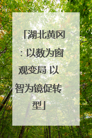 湖北黄冈：以数为窗观变局 以智为镜促转型