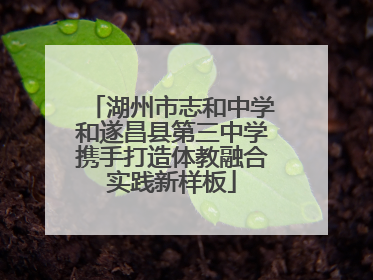 湖州市志和中学和遂昌县第三中学携手打造体教融合实践新样板