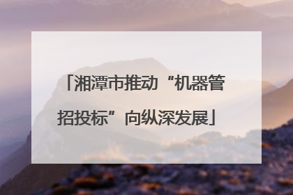 湘潭市推动“机器管招投标”向纵深发展