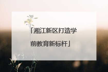 湘江新区打造学前教育新标杆