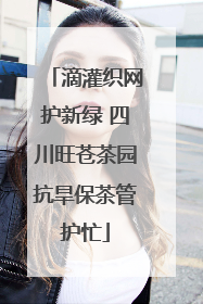 滴灌织网护新绿 四川旺苍茶园抗旱保茶管护忙