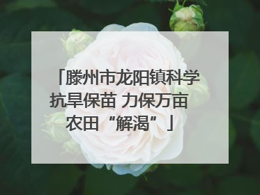 滕州市龙阳镇科学抗旱保苗 力保万亩农田“解渴”