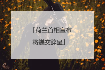 荷兰首相宣布将递交辞呈