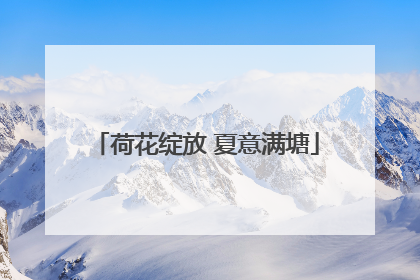 荷花绽放 夏意满塘