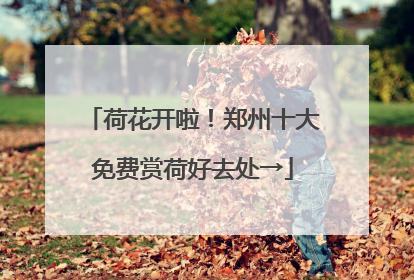荷花开啦！郑州十大免费赏荷好去处→