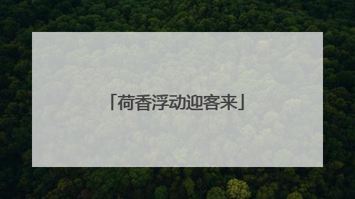 荷香浮动迎客来