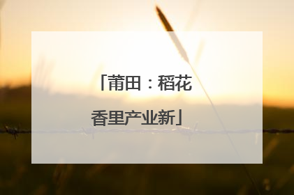 莆田：稻花香里产业新