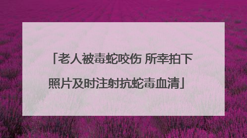 老人被毒蛇咬伤 所幸拍下照片及时注射抗蛇毒血清