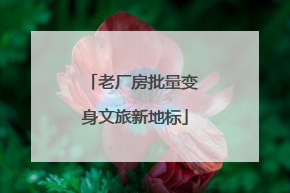 老厂房批量变身文旅新地标