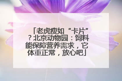 老虎瘦如“卡片”？北京动物园：饲料能保障营养需求，它体重正常，放心吧