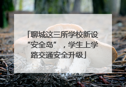 聊城这三所学校新设“安全岛”，学生上学路交通安全升级