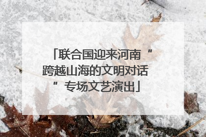 联合国迎来河南“跨越山海的文明对话”专场文艺演出