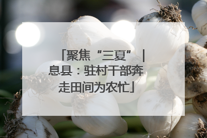 聚焦“三夏”｜息县：驻村干部奔走田间为农忙