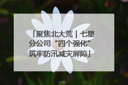 聚焦北大荒｜七星分公司“四个强化”筑牢防汛减灾屏障