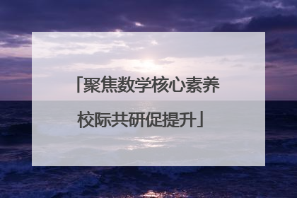 聚焦数学核心素养 校际共研促提升