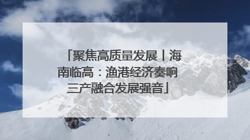 聚焦高质量发展丨海南临高：渔港经济奏响三产融合发展强音