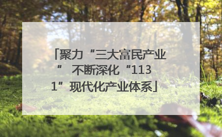 聚力“三大富民产业” 不断深化“1131”现代化产业体系