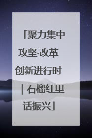 聚力集中攻坚·改革创新进行时｜石榴红里话振兴