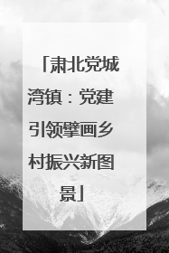 肃北党城湾镇：党建引领擘画乡村振兴新图景