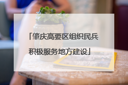 肇庆高要区组织民兵积极服务地方建设