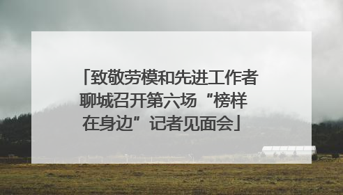 致敬劳模和先进工作者 聊城召开第六场“榜样在身边”记者见面会