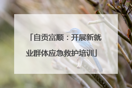 自贡富顺：开展新就业群体应急救护培训