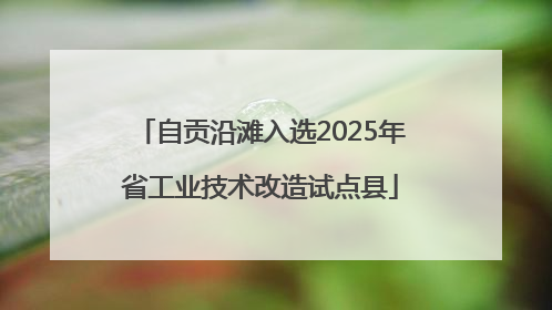自贡沿滩入选2025年省工业技术改造试点县