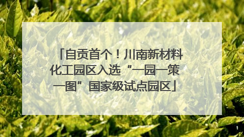 自贡首个！川南新材料化工园区入选“一园一策一图”国家级试点园区