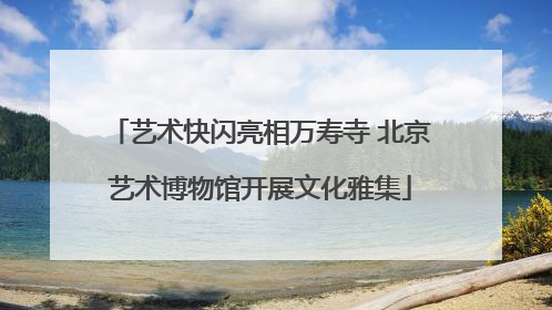 艺术快闪亮相万寿寺 北京艺术博物馆开展文化雅集