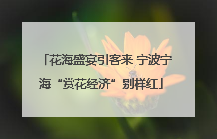 花海盛宴引客来 宁波宁海“赏花经济”别样红
