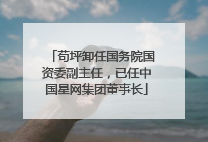苟坪卸任国务院国资委副主任，已任中国星网集团董事长