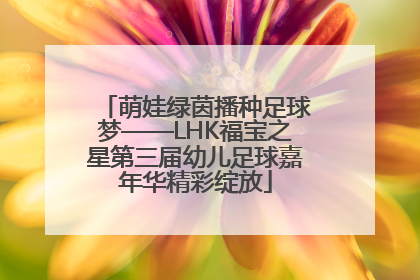 萌娃绿茵播种足球梦——LHK福宝之星第三届幼儿足球嘉年华精彩绽放