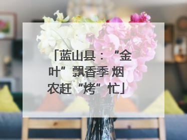 蓝山县：“金叶”飘香季 烟农赶“烤”忙