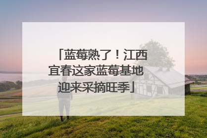 蓝莓熟了！江西宜春这家蓝莓基地迎来采摘旺季