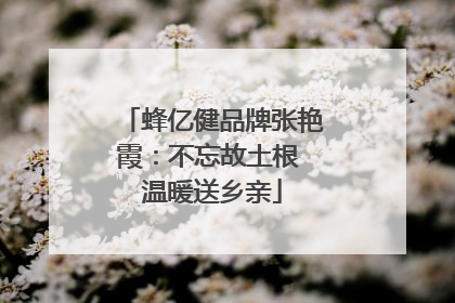 蜂亿健品牌张艳霞：不忘故土根 温暖送乡亲