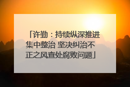 许勤：持续纵深推进集中整治 坚决纠治不正之风查处腐败问题