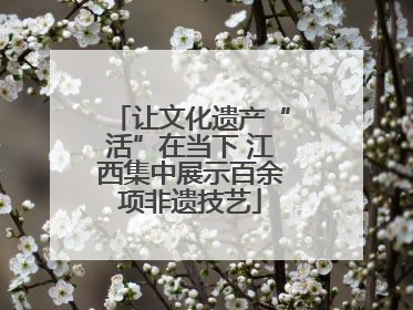 让文化遗产“活”在当下 江西集中展示百余项非遗技艺