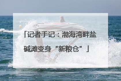 记者手记：渤海湾畔盐碱滩变身“新粮仓”