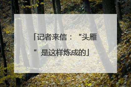 记者来信：“头雁”是这样炼成的