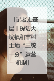 记者走基层丨探访大垸镇和丰村土地“三统一分”运营机制