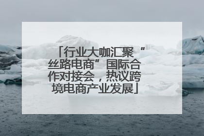 行业大咖汇聚“丝路电商”国际合作对接会，热议跨境电商产业发展
