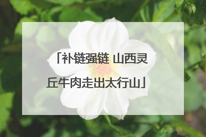 补链强链 山西灵丘牛肉走出太行山