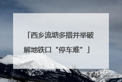 西乡流塘多措并举破解地铁口“停车难”