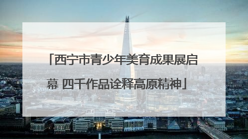 西宁市青少年美育成果展启幕 四千作品诠释高原精神