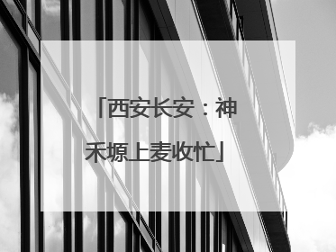 西安长安：神禾塬上麦收忙