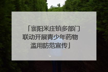 襄阳米庄镇多部门联动开展青少年药物滥用防范宣传