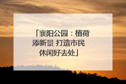 襄阳公园：植荷添新景 打造市民休闲好去处